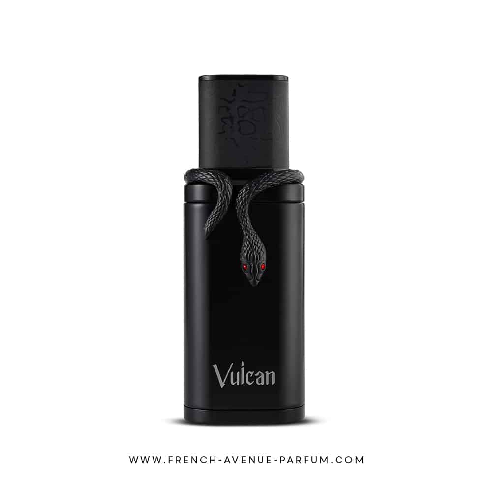 Vulcan Black Friday | Dark men's fragrance from French Avenue