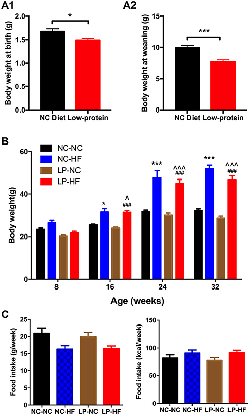 Frontiers | Long-Term Effects of Maternal Low-Protein Diet and