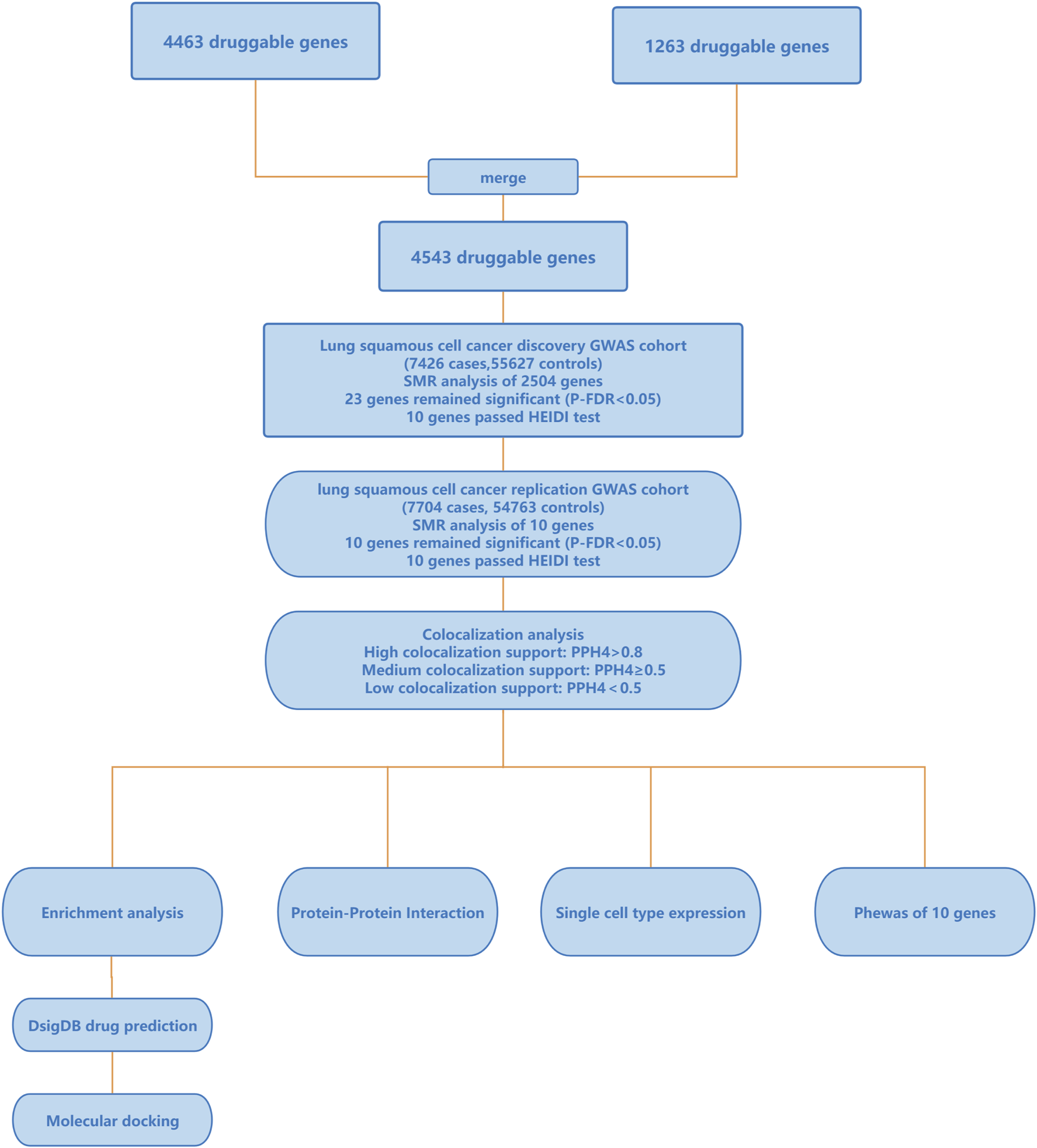 Frontiers | Unveiling potential drug targets for lung squamous