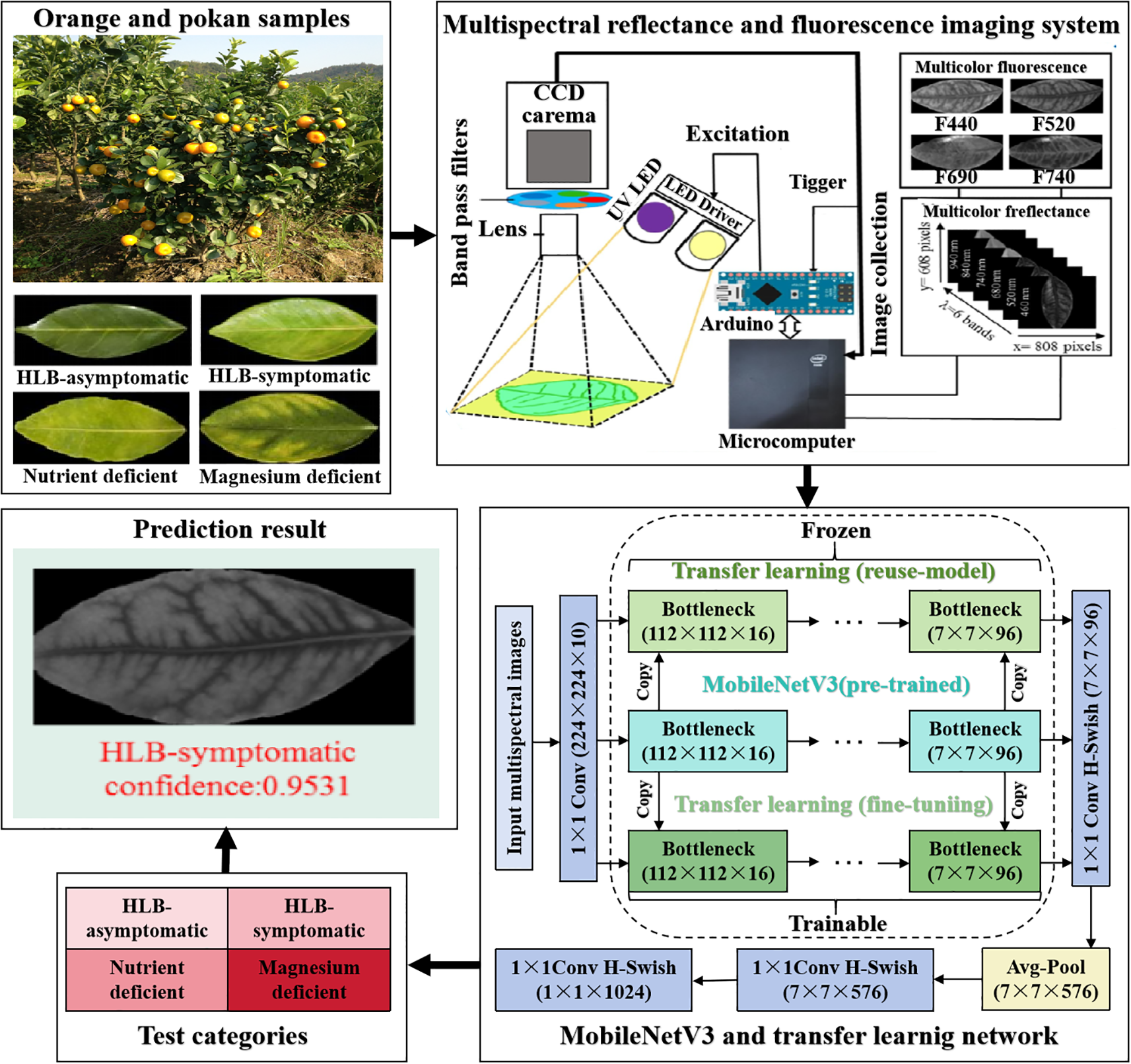 Frontiers | A review of plant leaf disease identification by deep