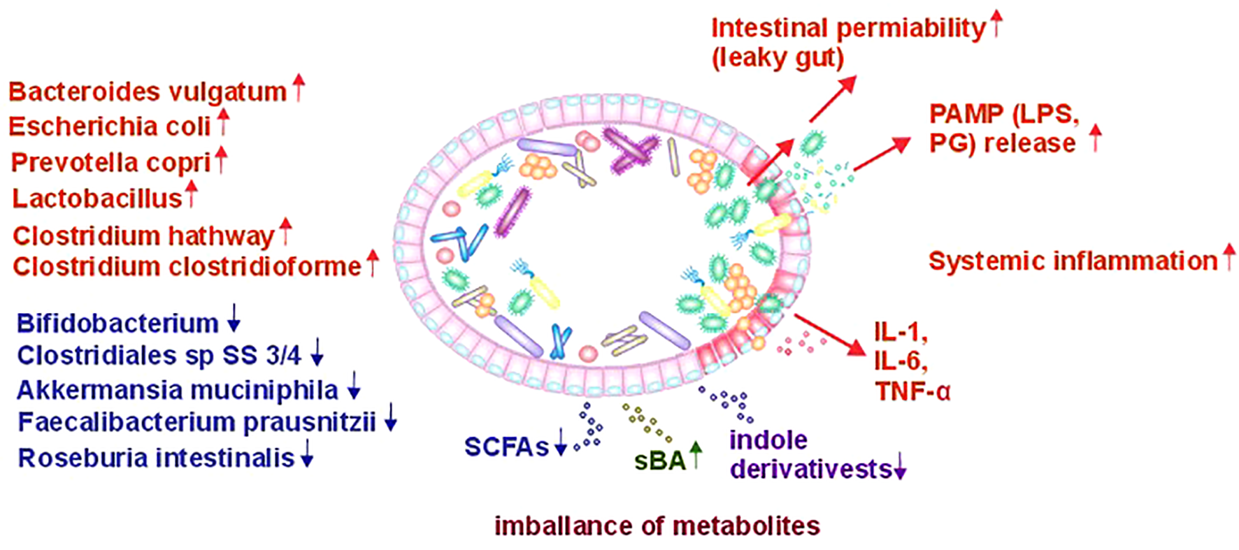 Frontiers | Harnessing gut-derived bioactives and AI diagnostics