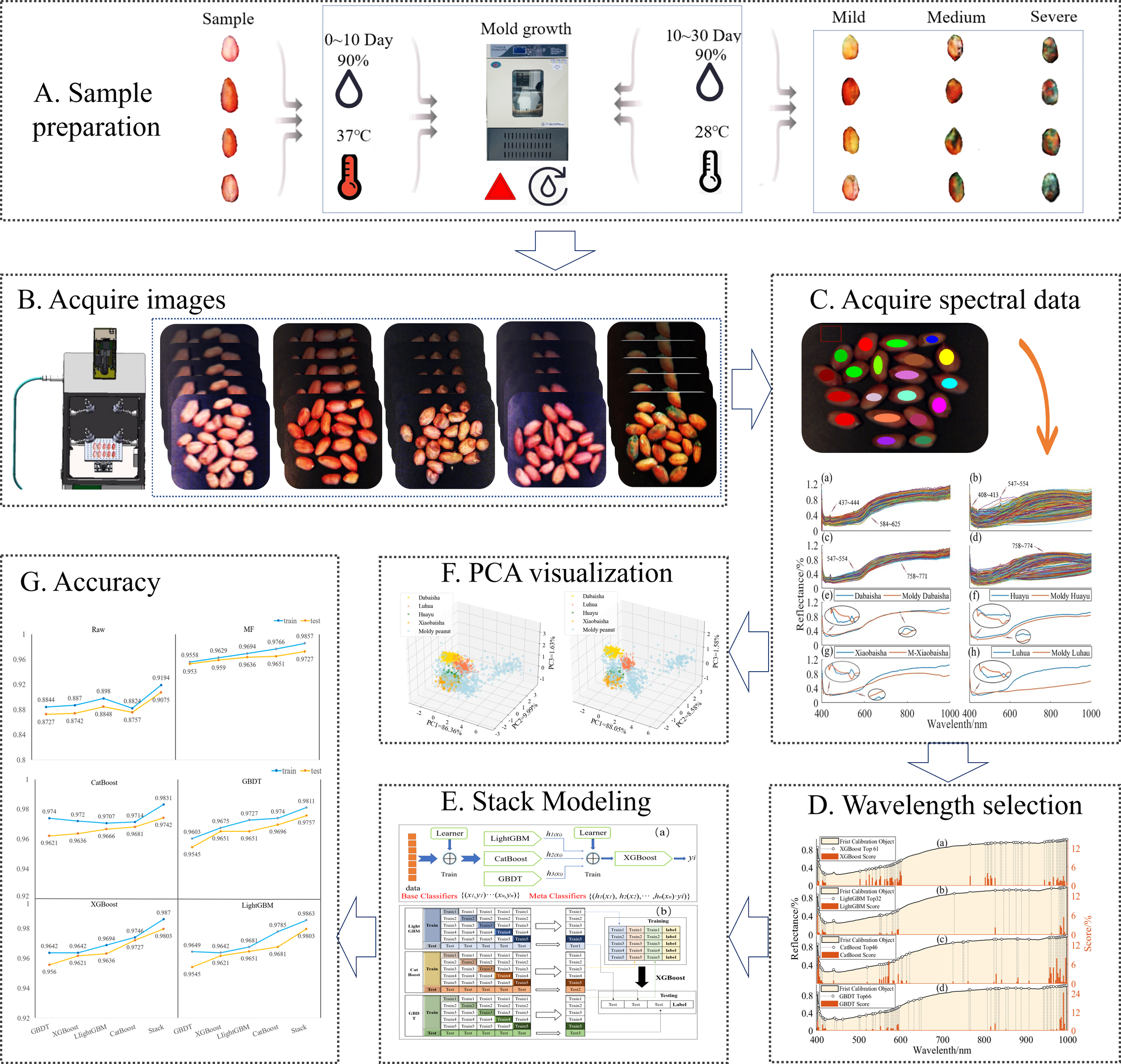 Frontiers | Rapid nondestructive detection of peanut varieties and