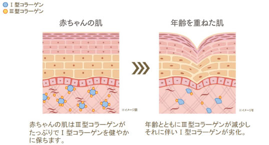 TWK フューチャースキンベース クリスタリュクス【30g】 | FTC