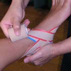 FTEX Institute|具体的な内容｜科目