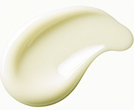 Online Shop | C4th クリーム