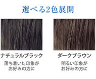 ヘアボーテ シーエッセンスカラーフォーム（ラージ）ブラウン