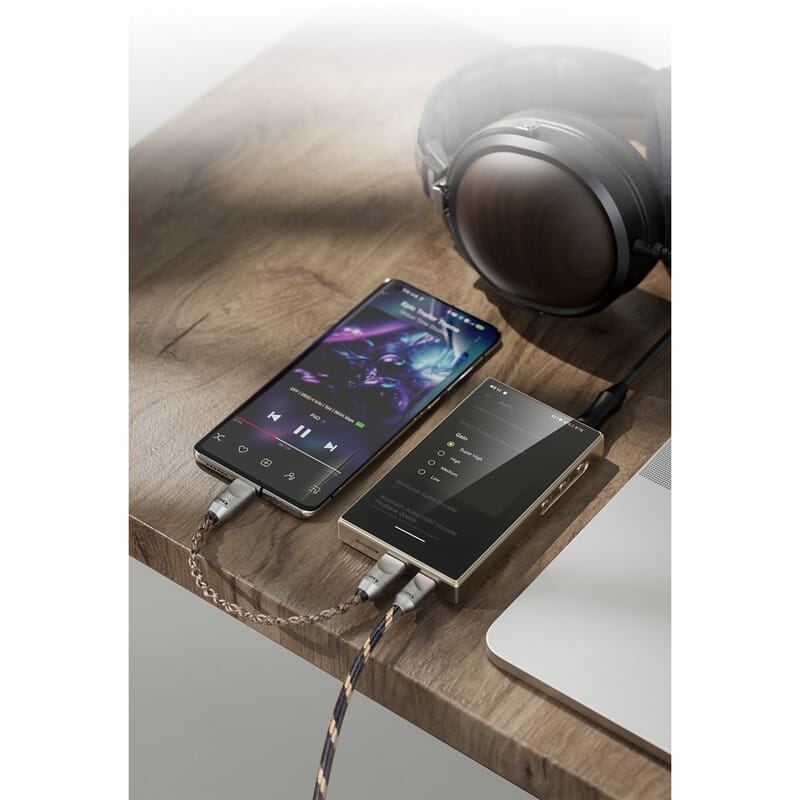FIIO M21 Titanium Gold [FIO-M21-G] 新品｜フジヤエービック