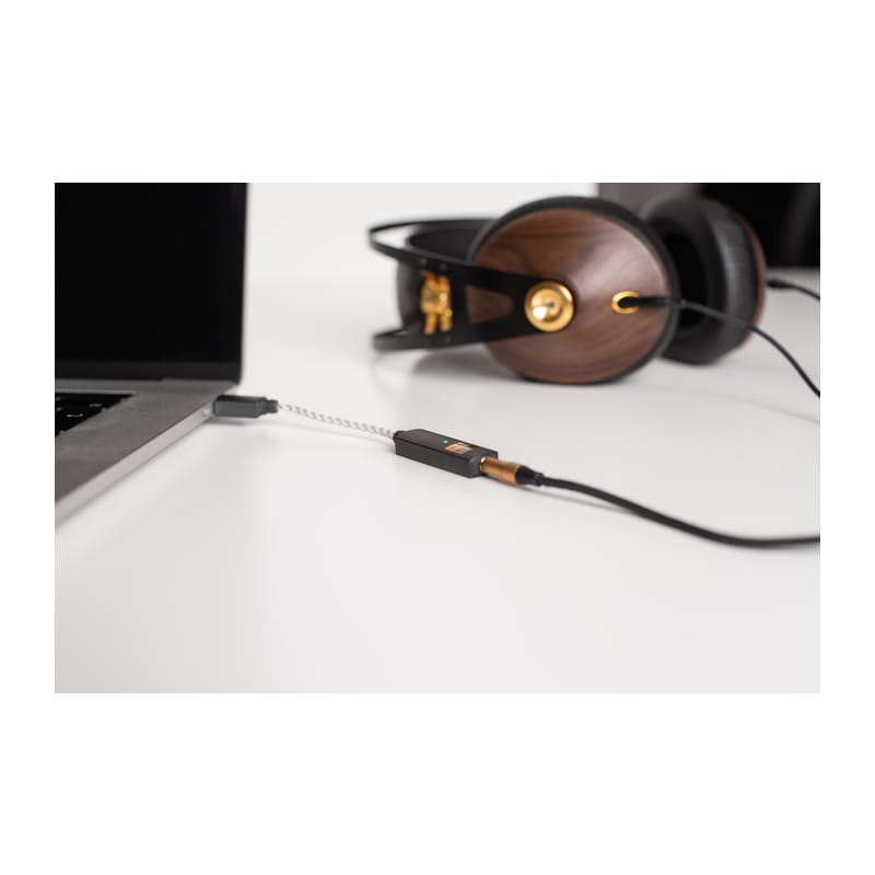 iFi audio GO link [IFI-GO-LINK] 新品｜フジヤエービック