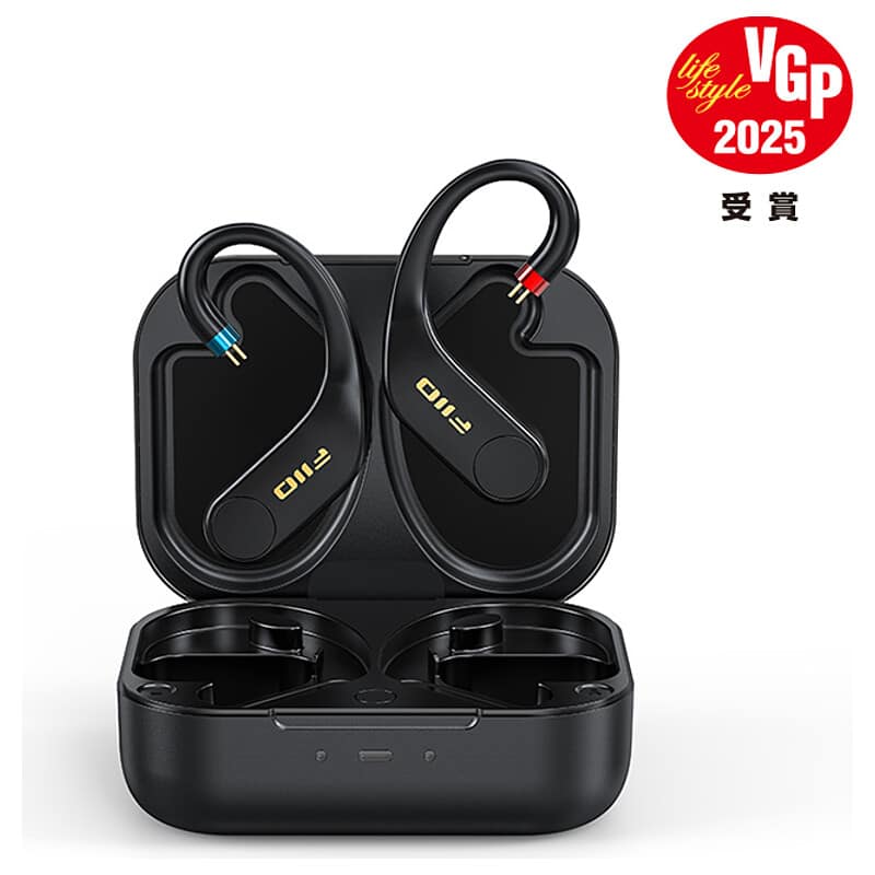 FIIO UTWS5 2025 2PIN [FIO-UTWS5-25-2PIN] 買取価格｜フジヤエービック