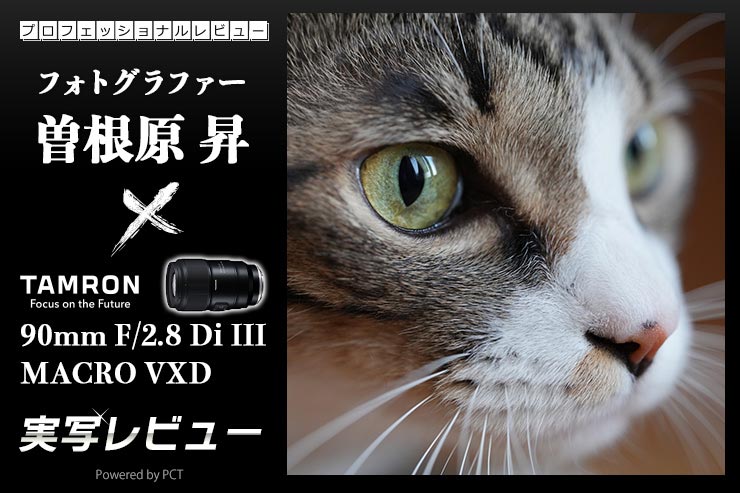 TAMRON 90mm F/2.8 Di III MACRO VXD レビュー × 曽根原 昇｜解像力と
