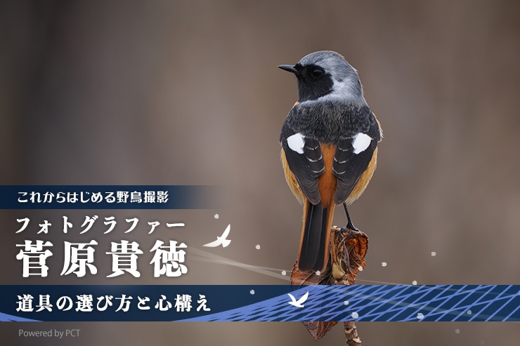 野鳥撮影をはじめよう × 菅原貴徳 道具の選び方と心構え