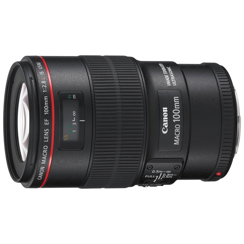 Canon EF100mm F2.8Lマクロ IS USM 新品｜フジヤカメラ