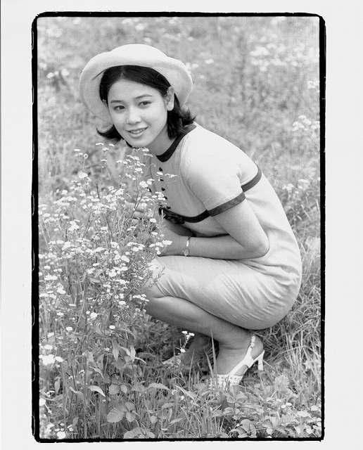 ひし美ゆり子写真集 All of Anne：plus（オール・オブ・アンヌ：プラス