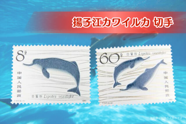 中国切手「揚子江カワイルカ」が伝える儚くも美しい命の物語｜切手買取