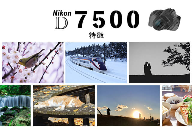 Nikon D7500とは？特徴・価格まとめ｜カメラ買取【買取福ちゃん】 FUKUCHAN