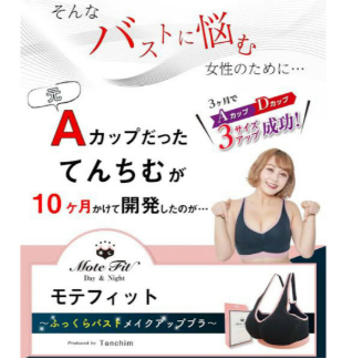 てんちむ裁判の判決結果と豊胸効果がない育乳ブラの真実 - 美容外科