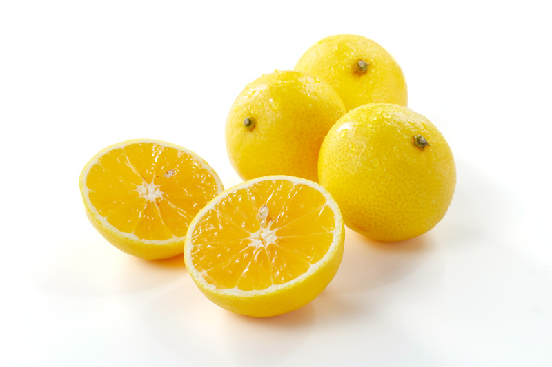 湘南ゴールド | 野菜と果物事典 | Salute Kitchen Supported by Funasho