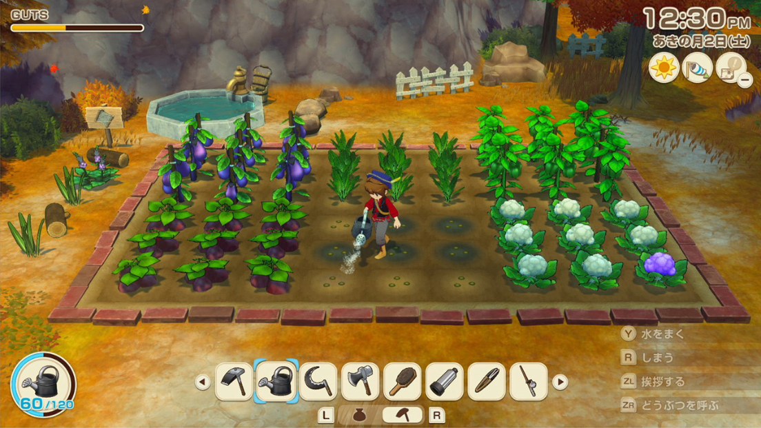 牧場物語 Let's！風のグランドバザール好評発売中｜2025年8月28日（木