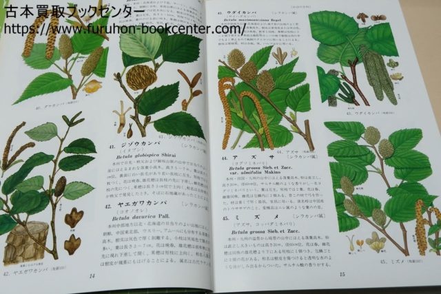 朝霞市より】原色牧野植物大図鑑・牧野富太郎等 植物の本・植物図鑑