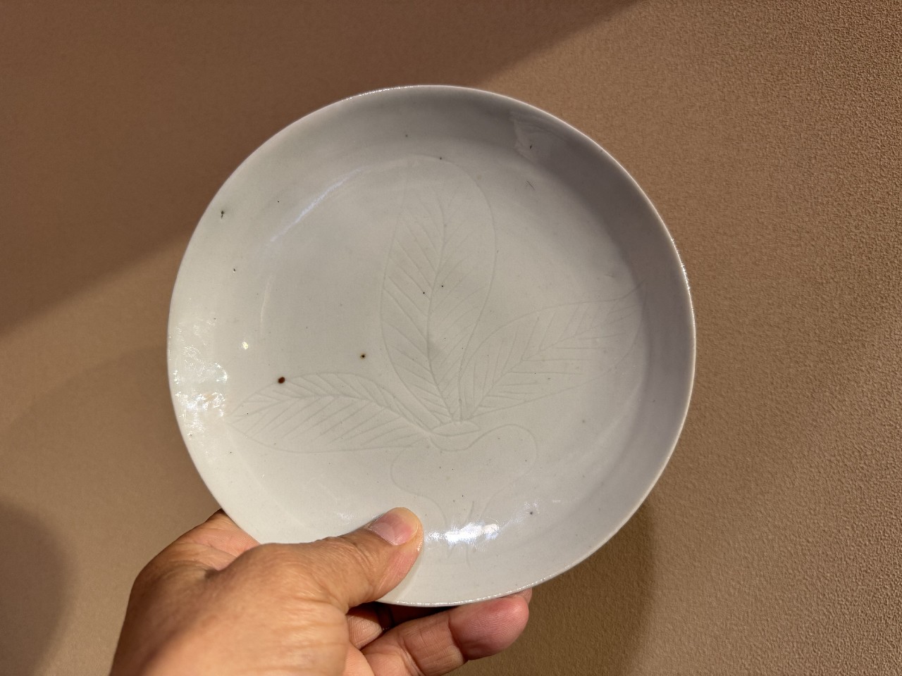 ギャラリー安原 / 初期伊万里 白磁 蕪文中皿