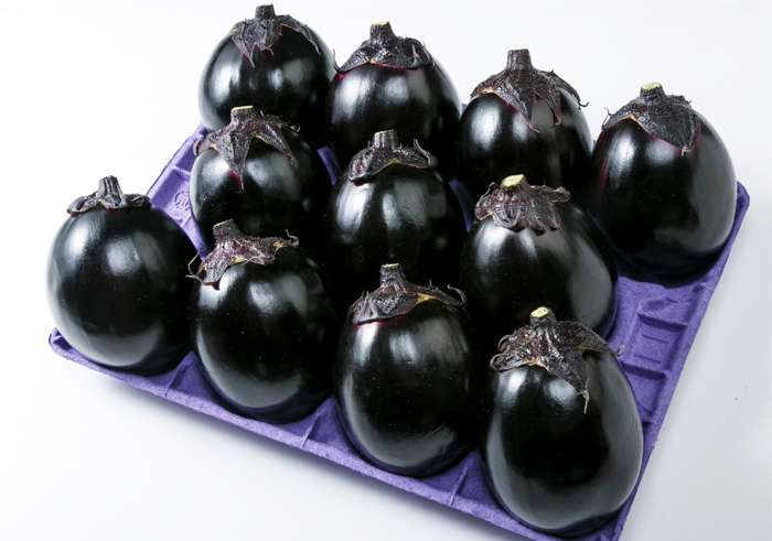 JAしみず 折戸なす | G-Callショッピング