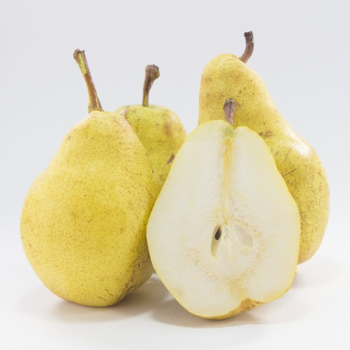 新潟産ルレクチェ 西洋梨 | G-Callショッピング