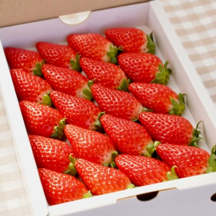 Inakakara - Farm to Table - 山梨県産 窪田さんの完熟いちご くだもの