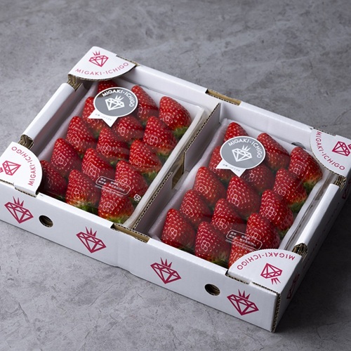 た*み様 【未使用】メロジョイ いちご 即日発送 最安値 mellojoy 大福