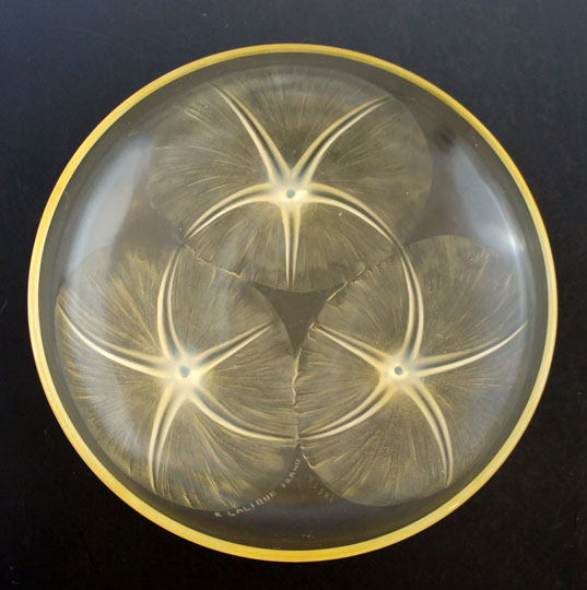 1921年「朝顔」《ギャルリーオルフェ》