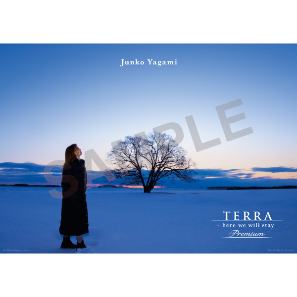 八神純子『“TERRA - here we will stay” premium』2024年10月23日(水)発売