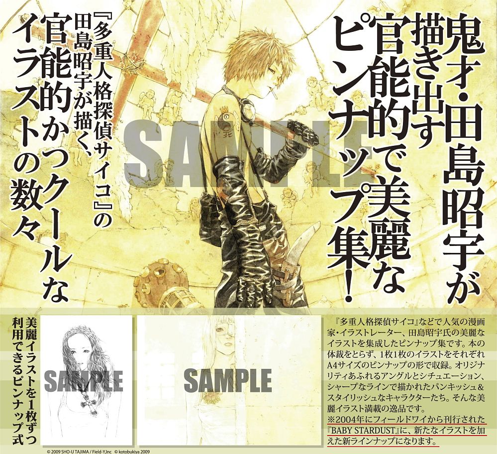 BABY☆STARDUST+(プラス) 田島昭宇 ピンナップ集 (画集・設定資料集