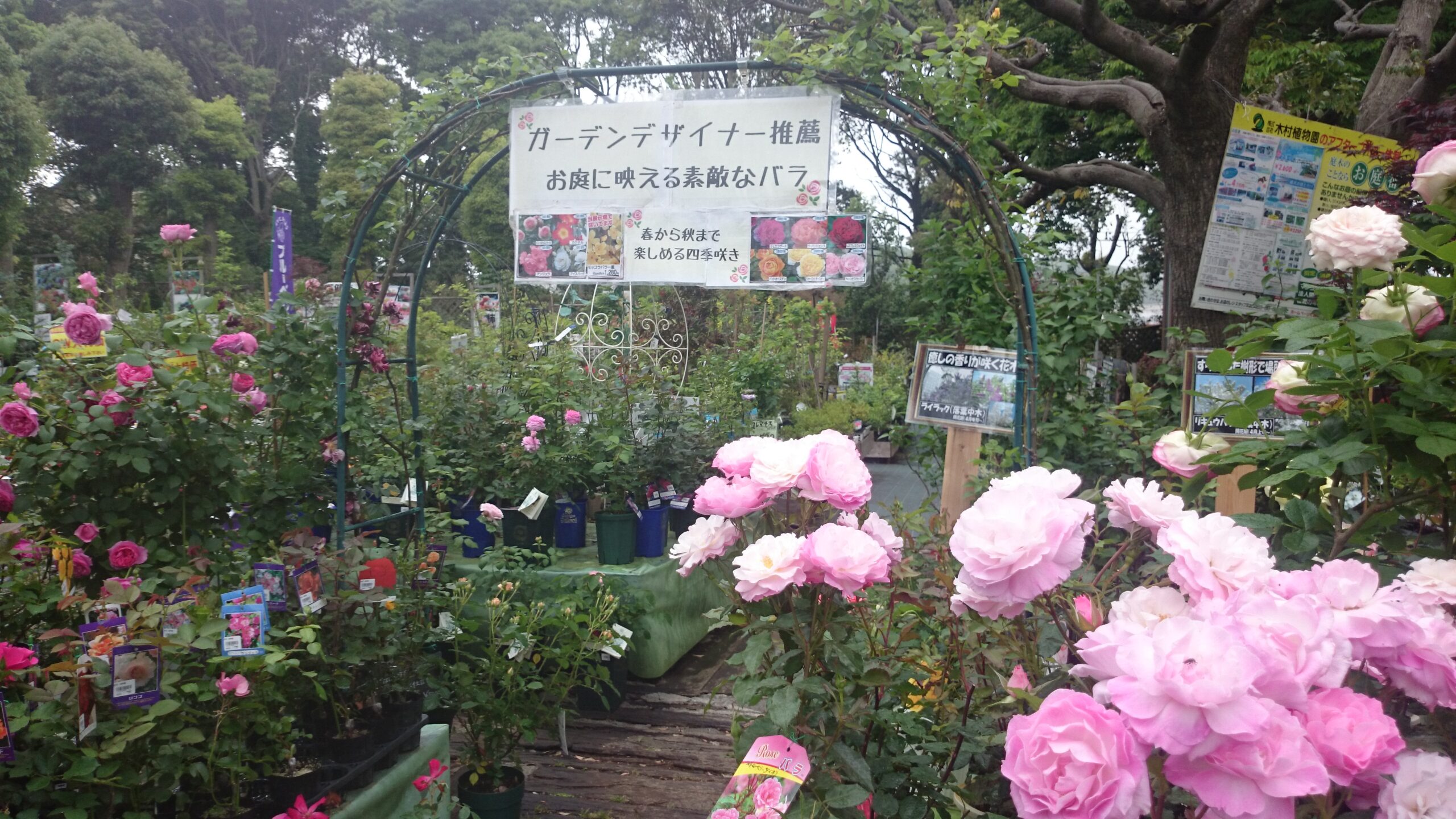 バラの薬品を減らしたい方に！イベントやります | ガーデン倶楽部ブログ