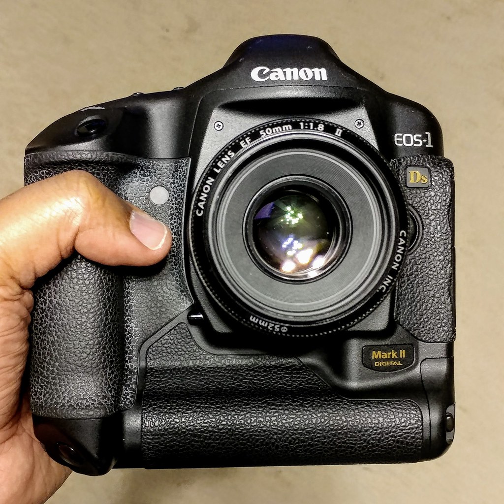 5 Frames with a Canon EOS 5D & 50mm f/1.8 EF STM - The Hunt for a