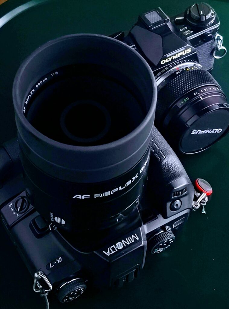 IMG_20240710_175231914-