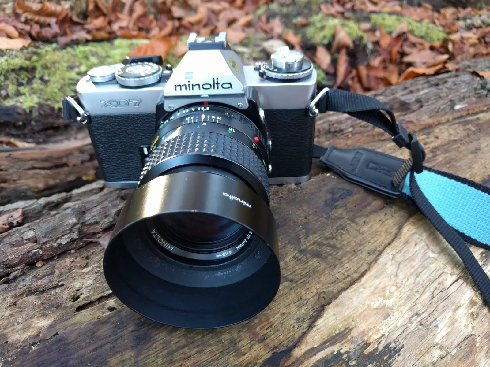5 Frames in hoarfrost wonderland with the Minolta XD-7 & Kodak