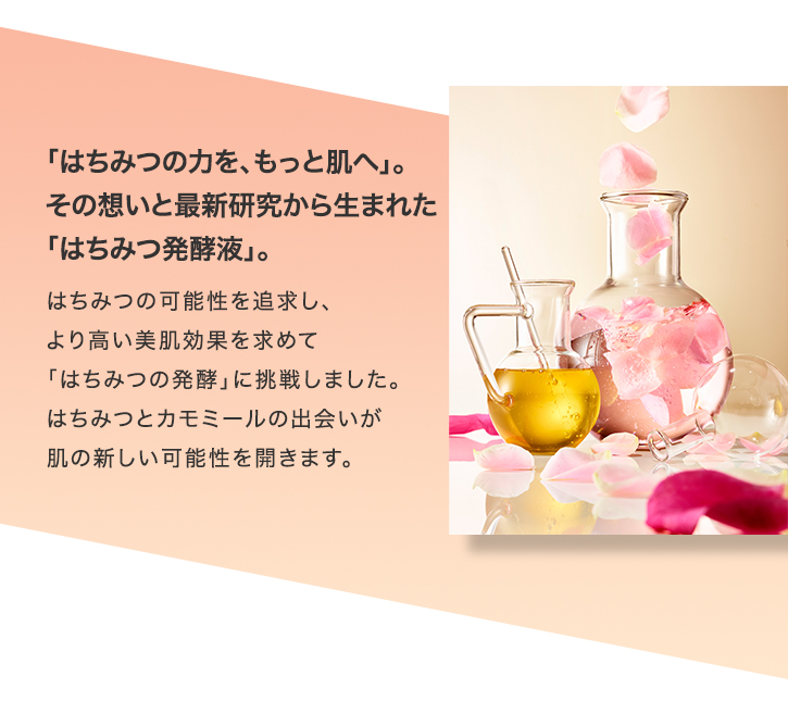 ハニーラボスキンケア5点セット(洗顔パウダーセット)｜化粧品の通販