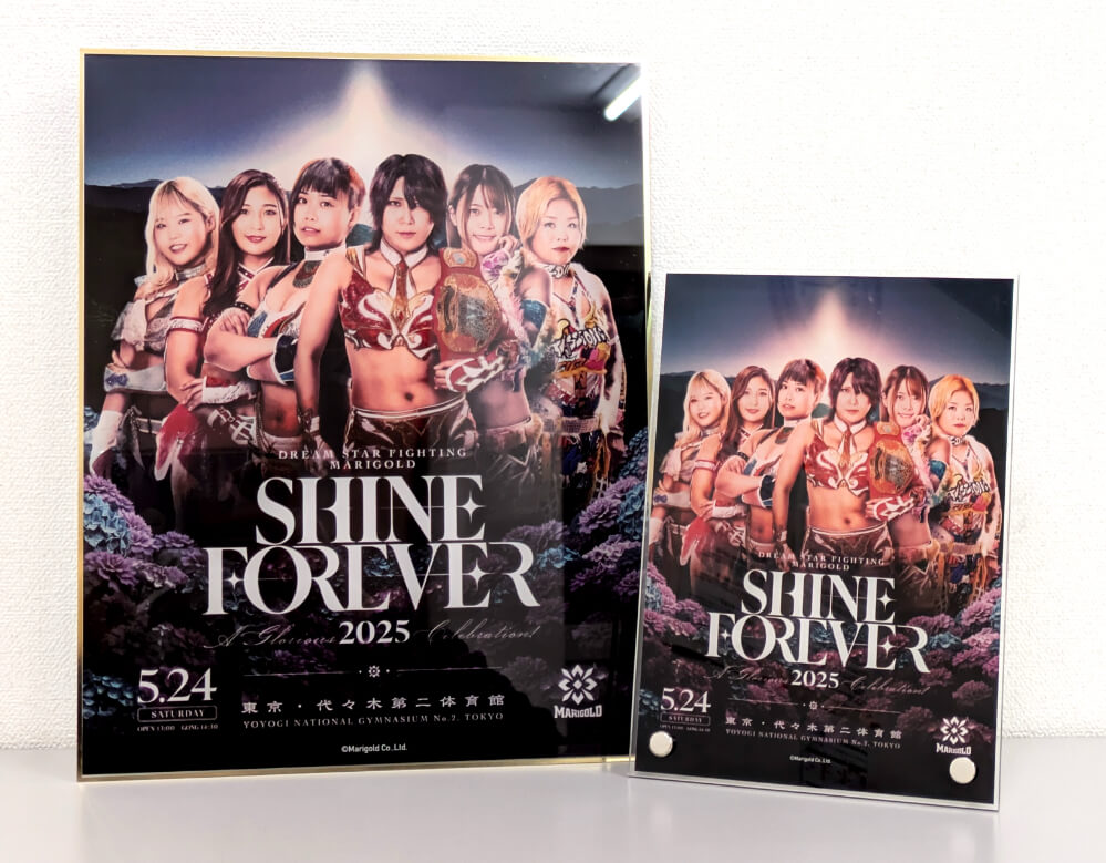 女子プロレス マリーゴールド プロレスカード ビキニカード 26種セット