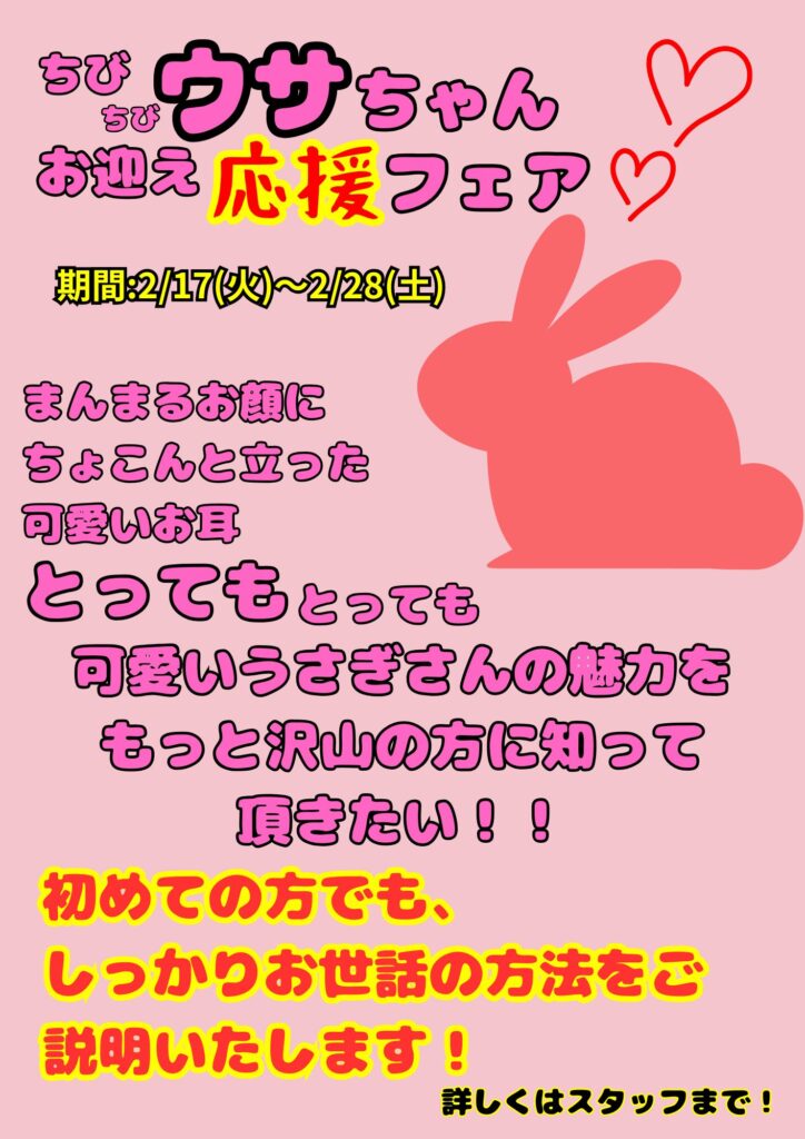 ☆ちびちびウサちゃんお迎え応援♪フェア開催のお知らせ☆ | 【全国120