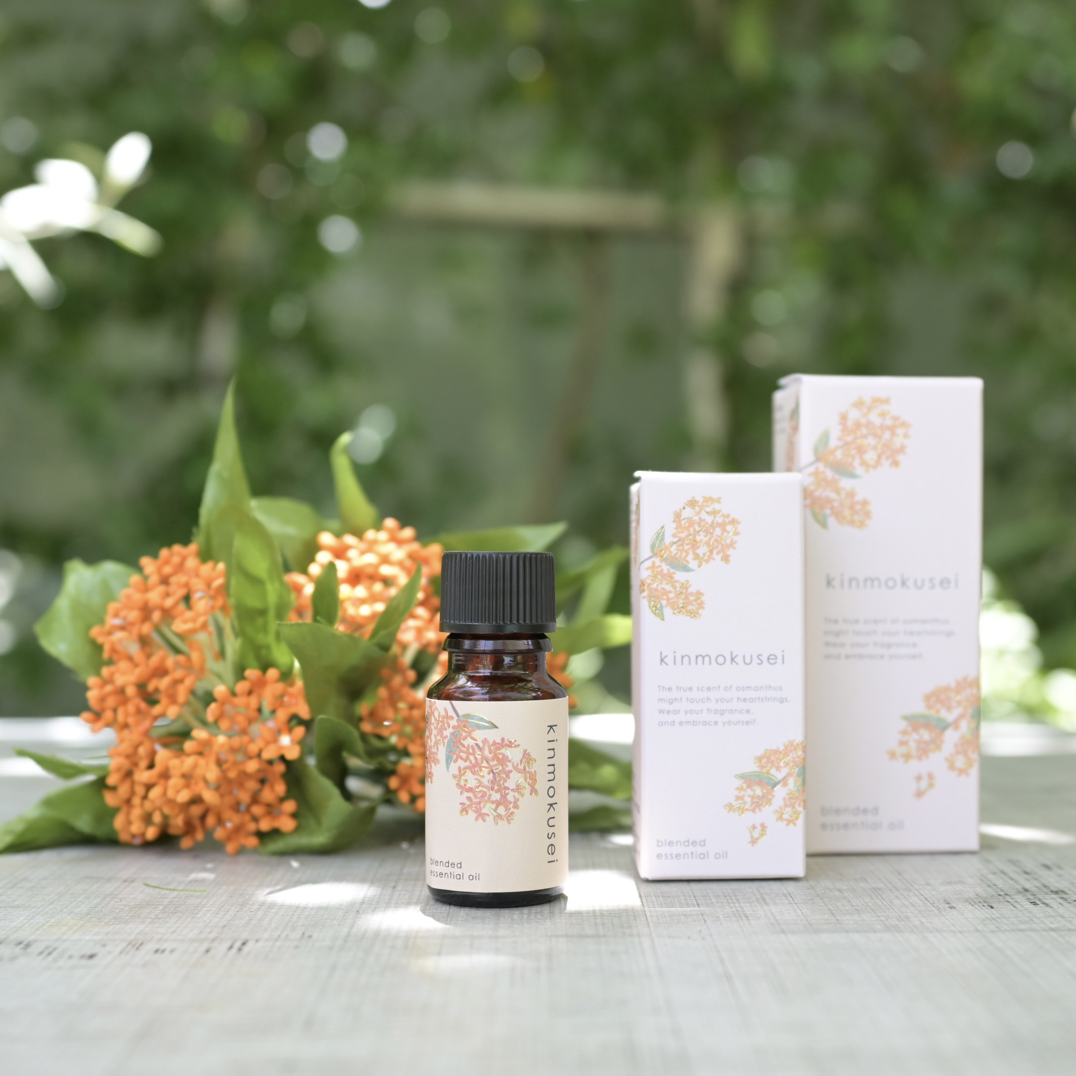 生活の木 | ショップ詳細 | 神戸国際会館 SOL