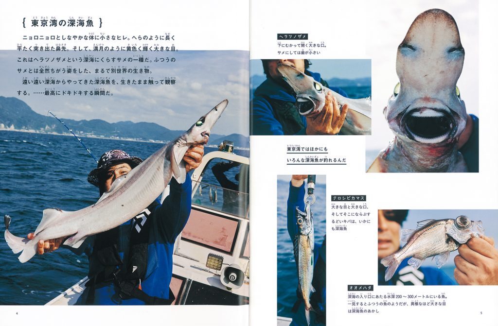 たくさんのふしぎ 2021年7月号『釣って 食べて 調べる 深海魚