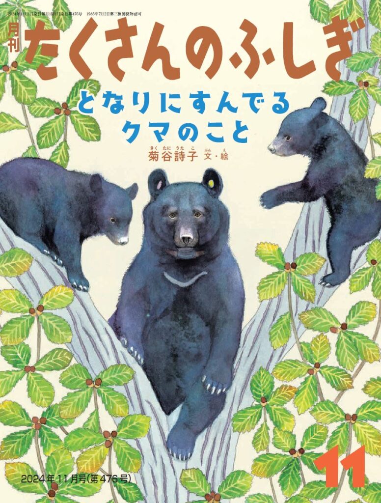 たくさんのふしぎ11月号『となりにすんでるクマのこと』 | こどもの
