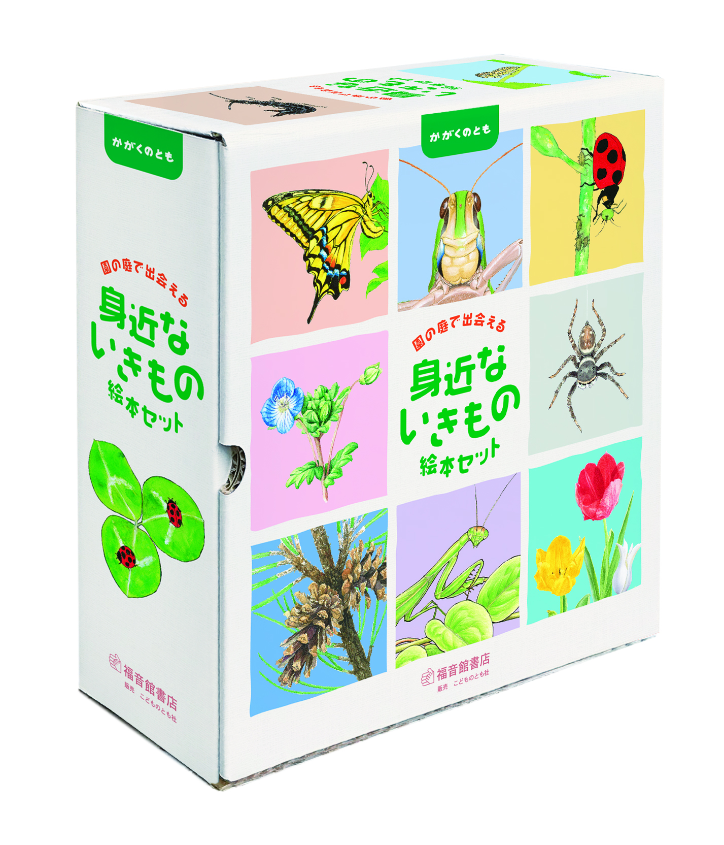 園の庭で出会える 身近ないきもの絵本セット（10冊）」 | こどものとも