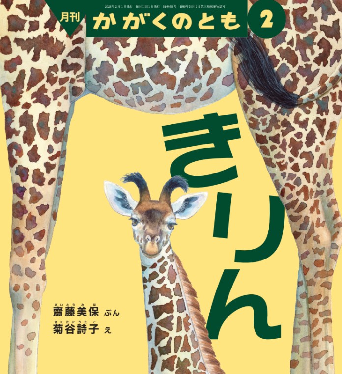 かがくのとも2026年2月号『きりん』 | こどものとも ひろば