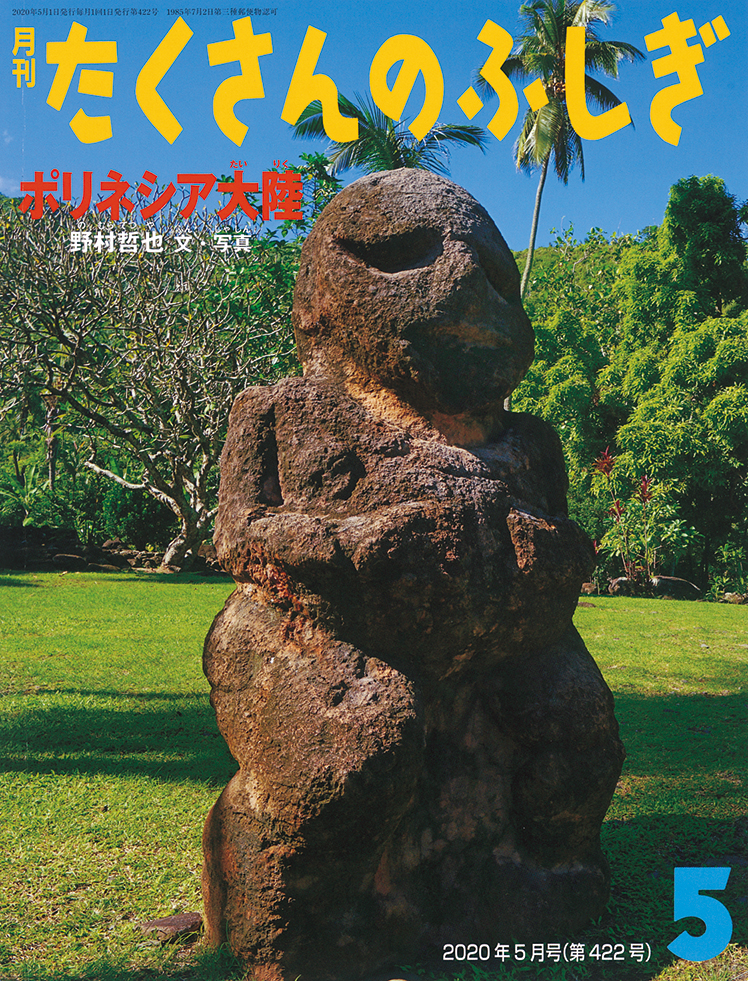 たくさんのふしぎ 2020年5月号『ポリネシア大陸』 | こどものとも ひろば