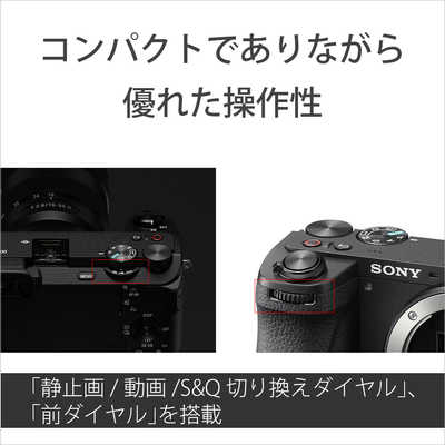 ソニー SONY ミラーレス一眼カメラ α6700 ボディ ILCE-6700 の通販