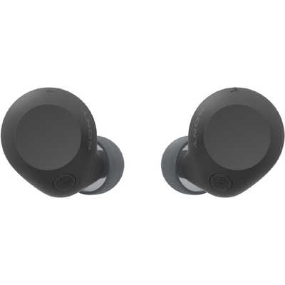 ソニー SONY 完全ワイヤレスイヤホン [ ワイヤレス ( 左右分離