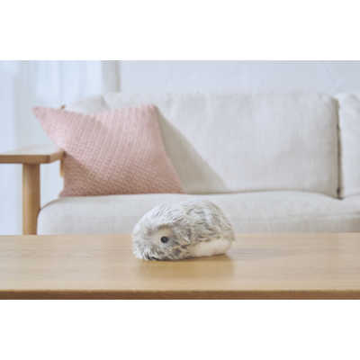 カシオ CASIO 手のりサイズ AIペット(コミュニケーションロボット