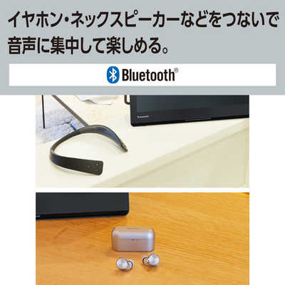 パナソニック Panasonic ポータブルテレビ ブルーレイディスク