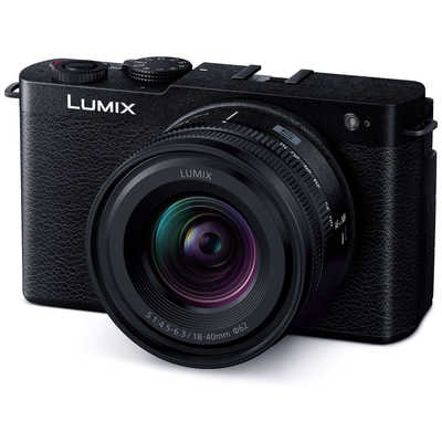 パナソニック Panasonic ミラーレス一眼カメラ LUMIX S9 広角ズーム