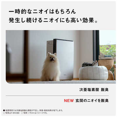 パナソニック Panasonic 次亜塩素酸 空間除菌脱臭機 ジアイーノ 空気
